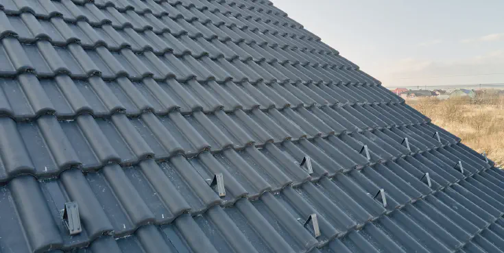 shingle Roof